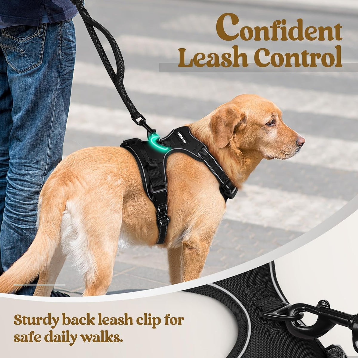 rabbitgoo Dog Harness, No Pull for Small Dogs with 2 Leash Clips, Pet Vest