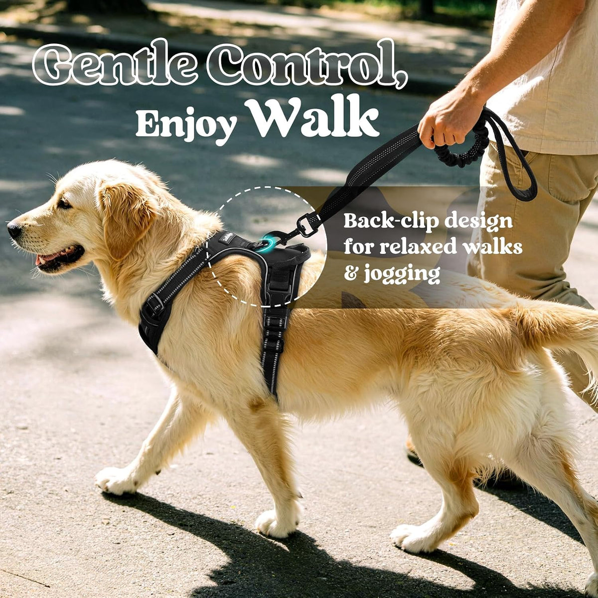 rabbitgoo Dog Harness, No Pull Medium Sized with 2 Leash Clips, Pet Vest