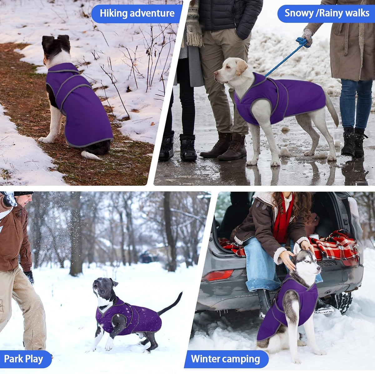 MIGOHI Warm Dog Coat Waterproof Winter Dog Jacket, M, Purple