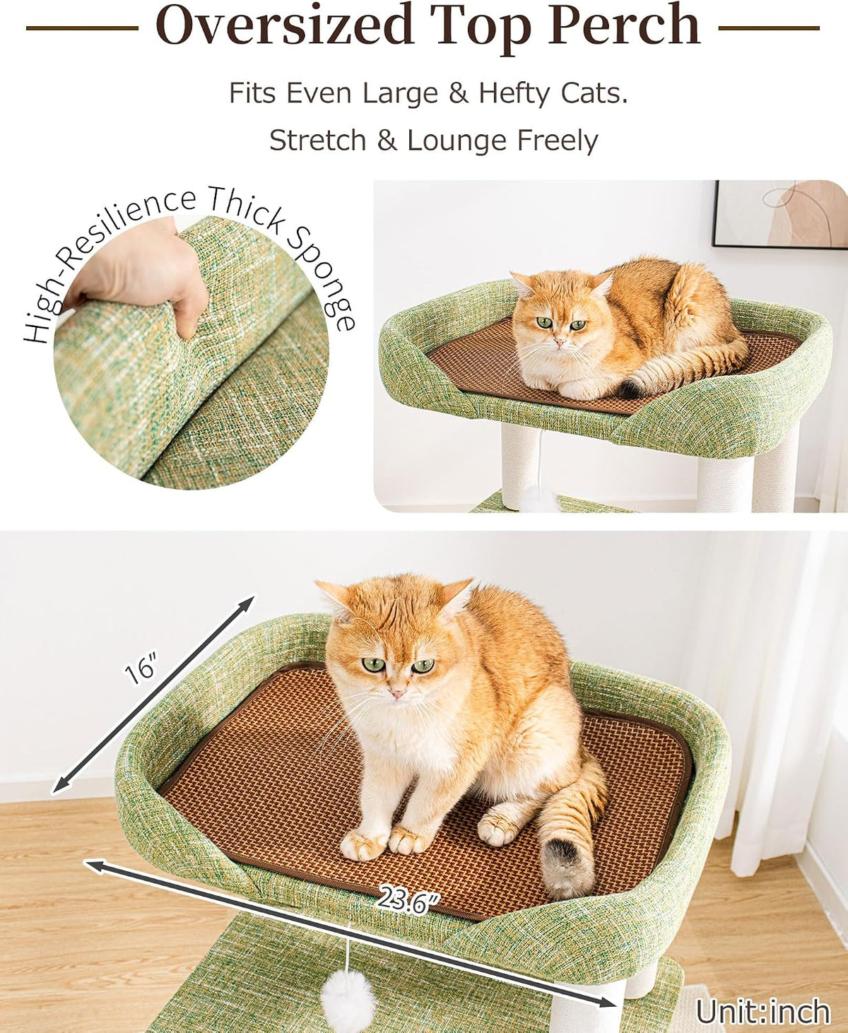 37.5" Cat Tree for Large & Senior Cats with Low Step & Sisal Board
