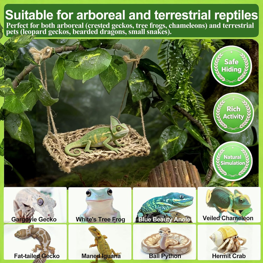 22PCS Bearded Dragon Tank Accessories with Moss Cave Hideout