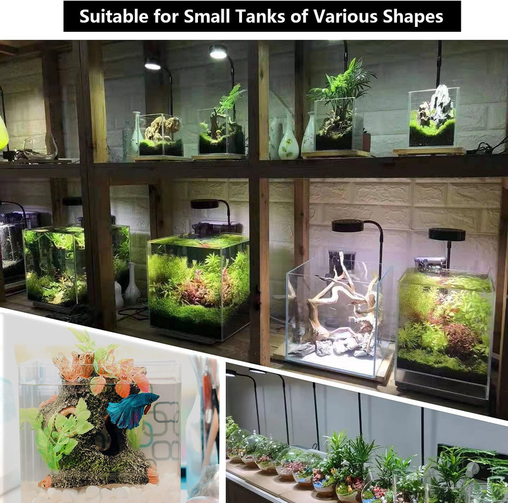 AREPK Aquarium & Terrarium Light Full Spectrum LED, Timer Auto On/Off, for Under 3 Gallon Fish Tanks, Betta Tanks, Moss, Succulents, Carnivorous Plants, Miniature Landscapes