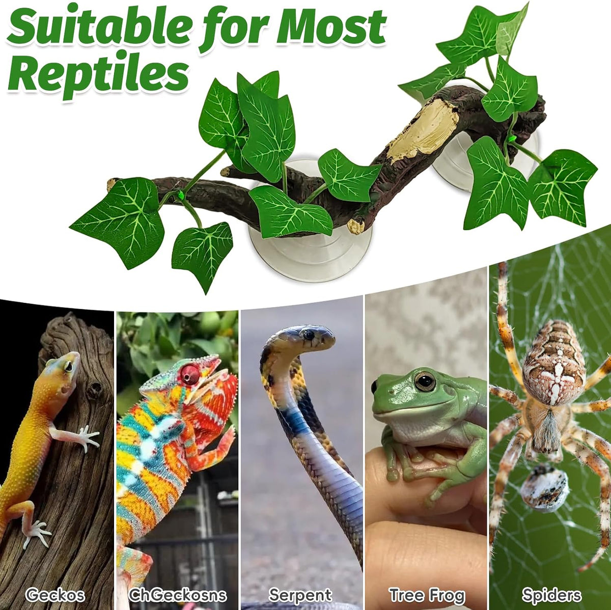 PINVNBY 2 PCS Reptile Corner Branch Terrarium Plant Decoration with Suction Cup Resin Plant for Amphibian Lizard Snake Climbing