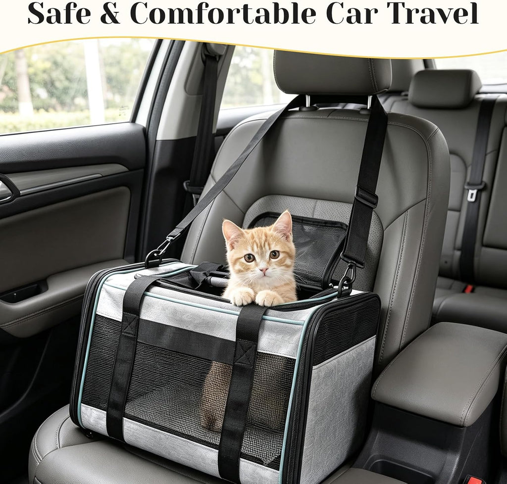 Airline Approved Travel Soft-Sided Carrier with Wheels for Small Pets