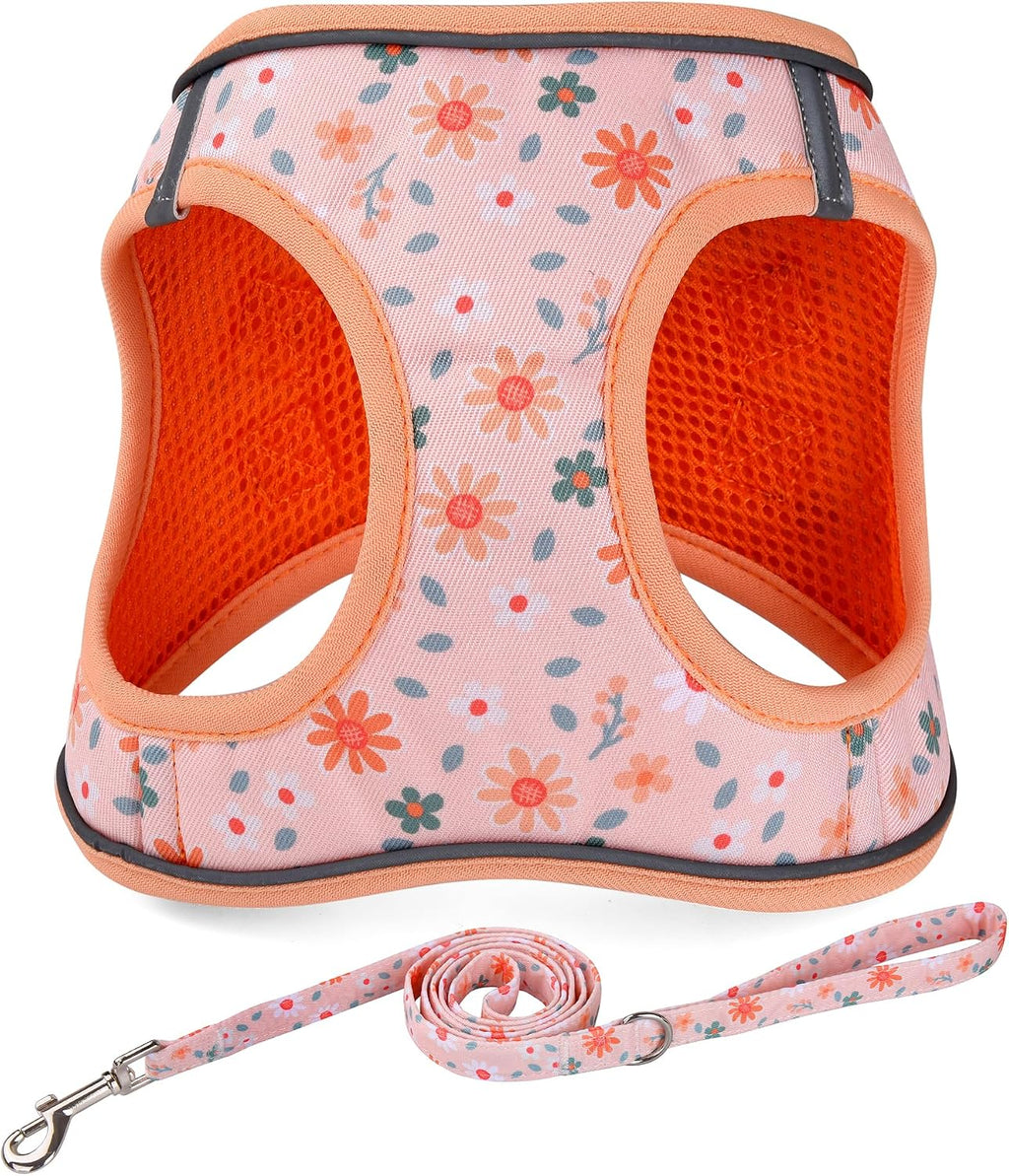 Mihqy Step in Dog Harness and Leash Set, Breathable Mesh, Black Bohemia,XS