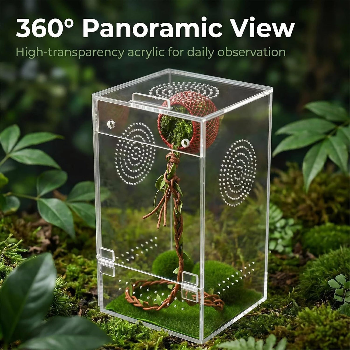 SIHPTO 4x4x8 Inch Pre-Assembled Jumping Spider Enclosure Kit