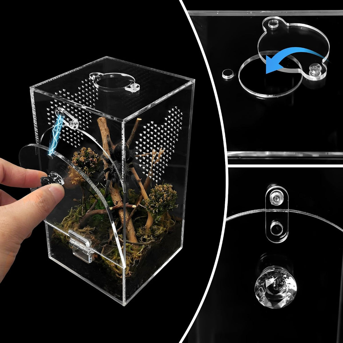 Acrylic Spider Enclosure 2 Pack, Terrarium for Jumping Spider（L）