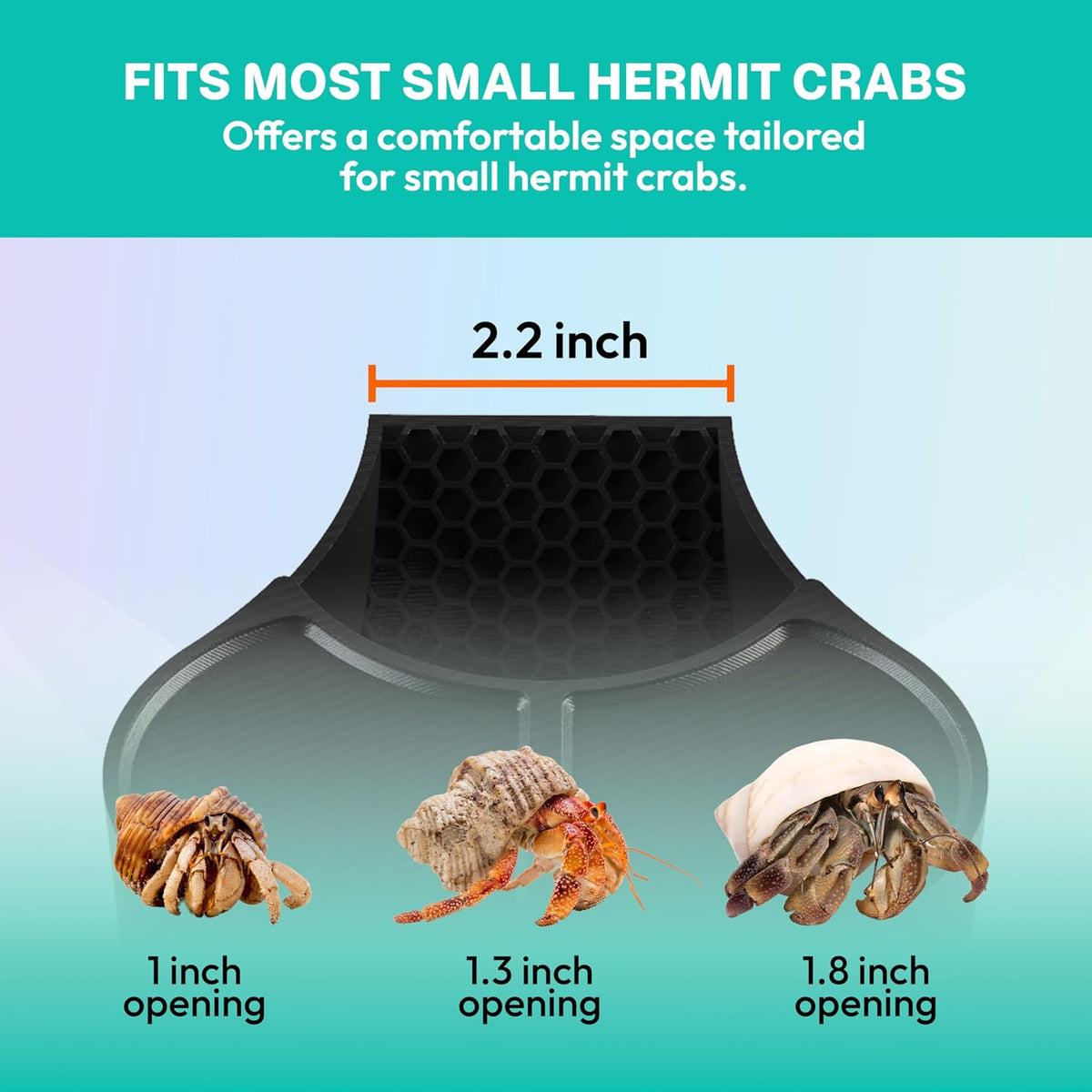 Hermit Crab Habitat Shelter with 2 Deep Dishes & Honeycomb Ramp - 2-in-1 Corner Hideout and Pool Station for Hermit Crabs, Isopods, and Reptiles - Made in USA (Black)