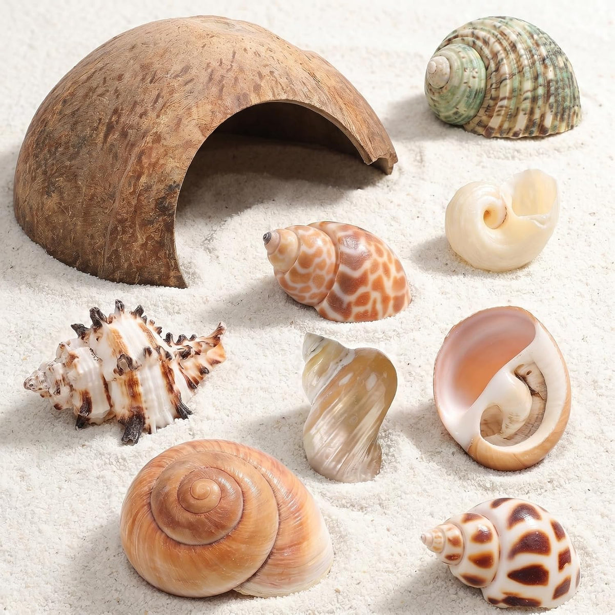 SHINEOFI Hermit Crab Hideout Coconut Shell Shelter with 8 Hermit Crab Shells Reptile Hide Cave Turtle Rest Hut Aquarium Habitat Decor for Fish Tanks and Reptile Containers