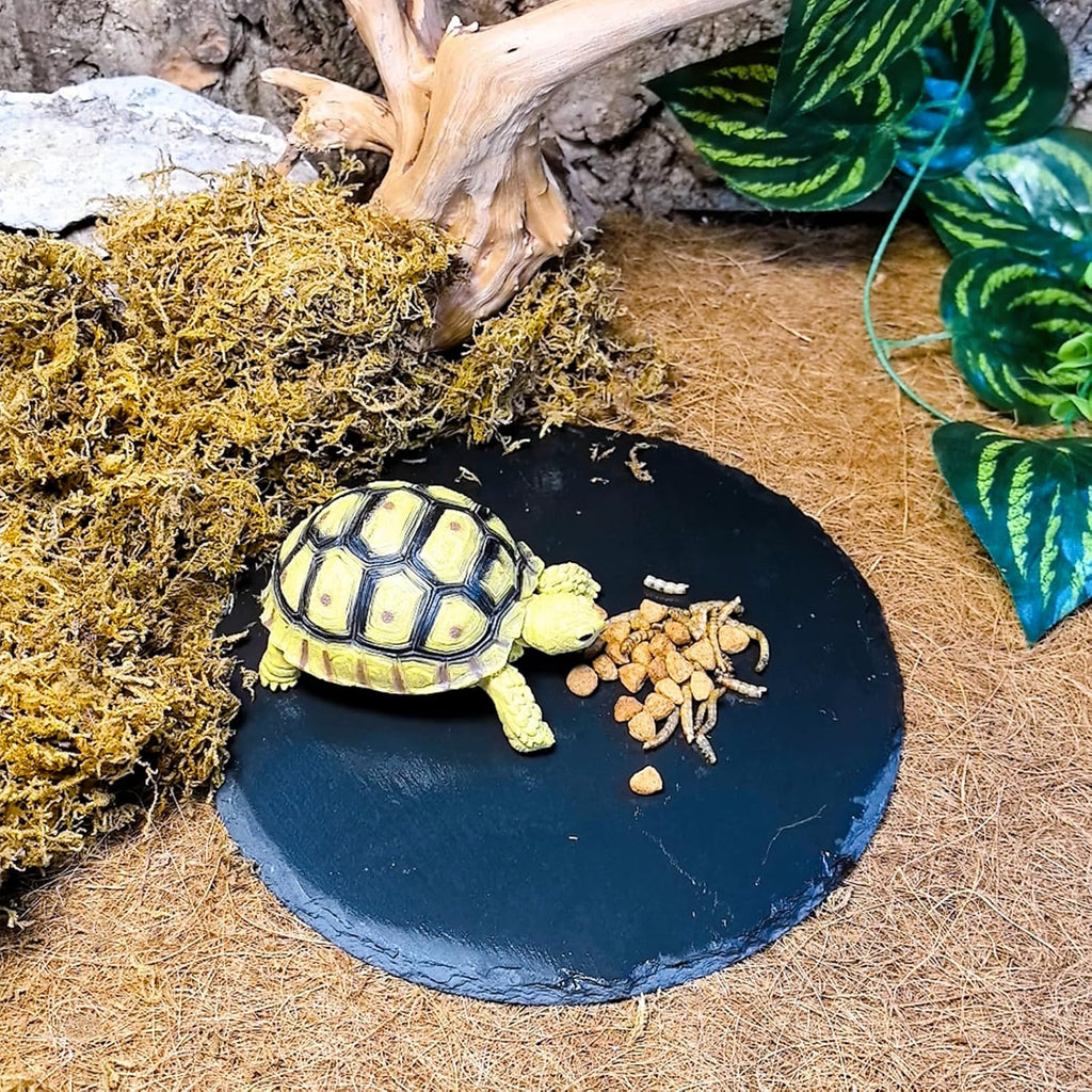 2Pcs Reptile Basking Platform 7.8in Rock Slate Plate Food Bowl for Tortoise