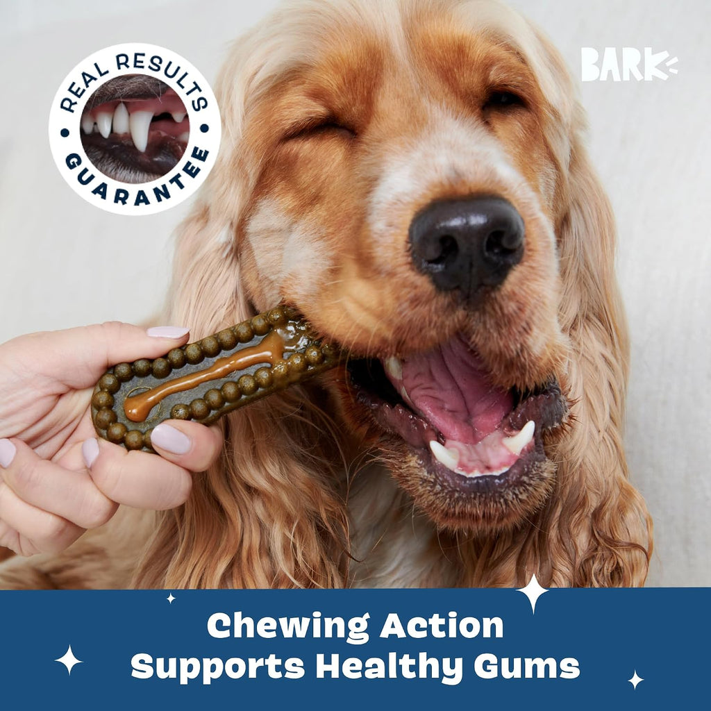 BarkBox Bright Durable Dental Care Kit - for Medium Breeds (25-50 lbs)