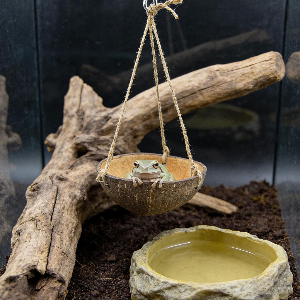 Natural Coconut Shell Frog Swing Toy, Reptile Hammock Bed with Hanging Rope & Metal Buckle, Terrarium Habitat Decor Accessories for Lizard Gecko Bearded Dragon Hamster Birds Hermit Crab Bearded Dragon