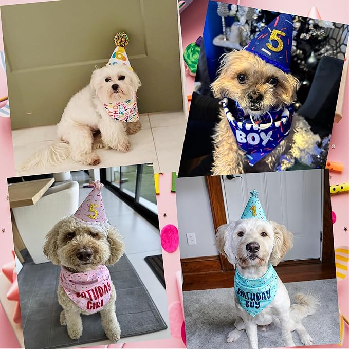 Dog Birthday Bandana Set, Light Blue Birthday Boy Decorations, HBD Party - Image 6