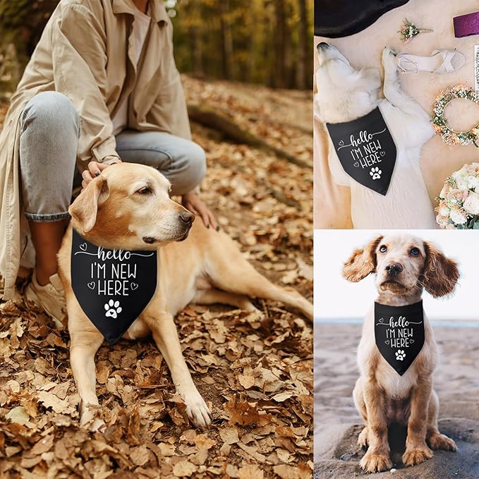 Hello I'm New Here Dog Bandana New Puppy Announcement Gift - Image 5