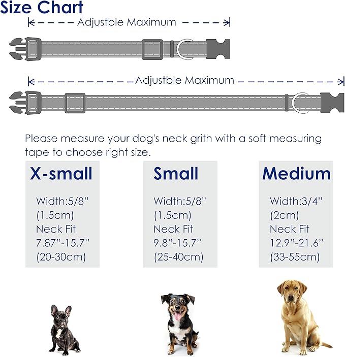 Cute Dog Collar Rainbow Pattern - Image 2