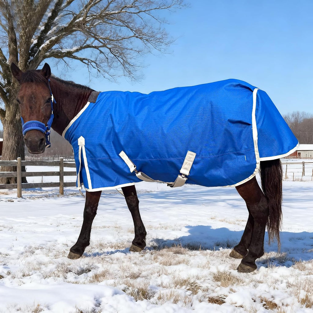 Water Resistant Turnout Horse Blanket with Neck Cover Belly Surcingle 51in
