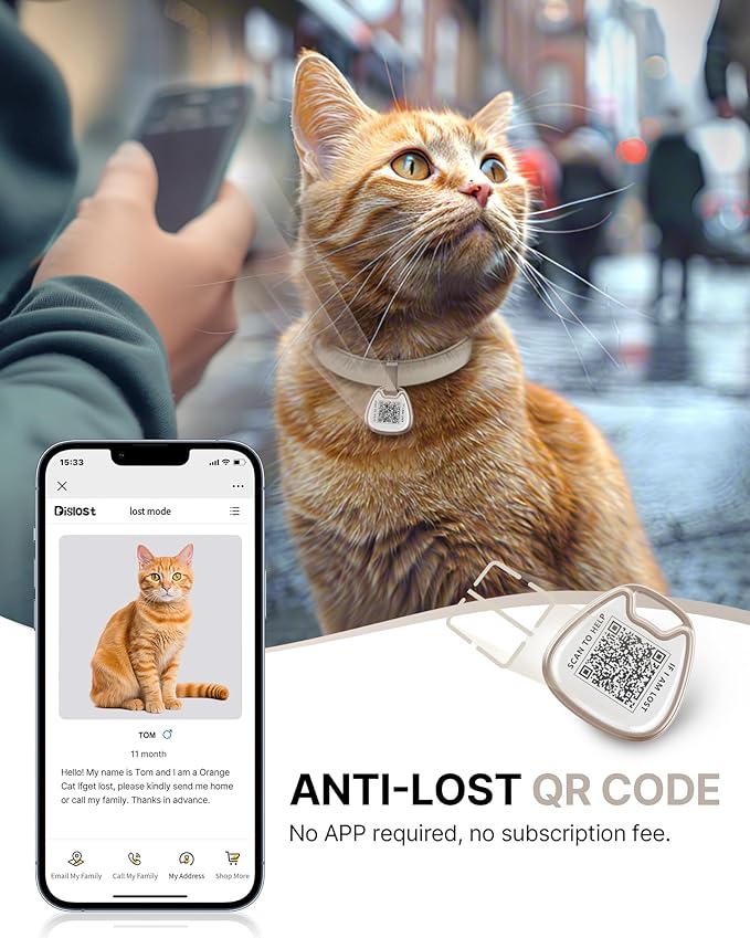 Cat Collar with QR Code Name Tag, Breakaway Kitten Collar - Image 2