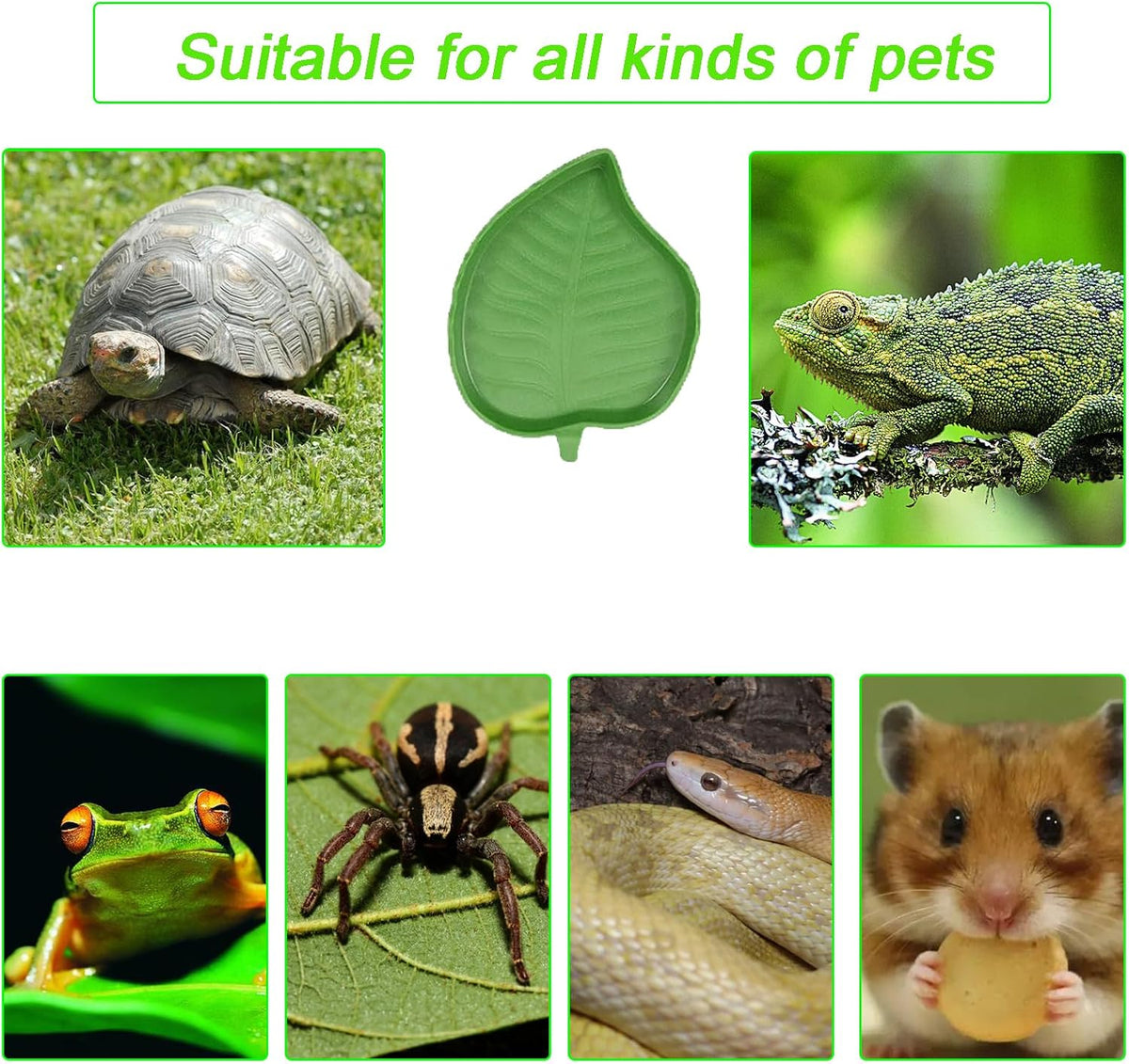 3PCS Tortoise Dish with Ramp Leaf - Tortoise Food & Water Bowls - Reptile Habitat Accessories for Horned Frogs & Lizards - Fit for Bath