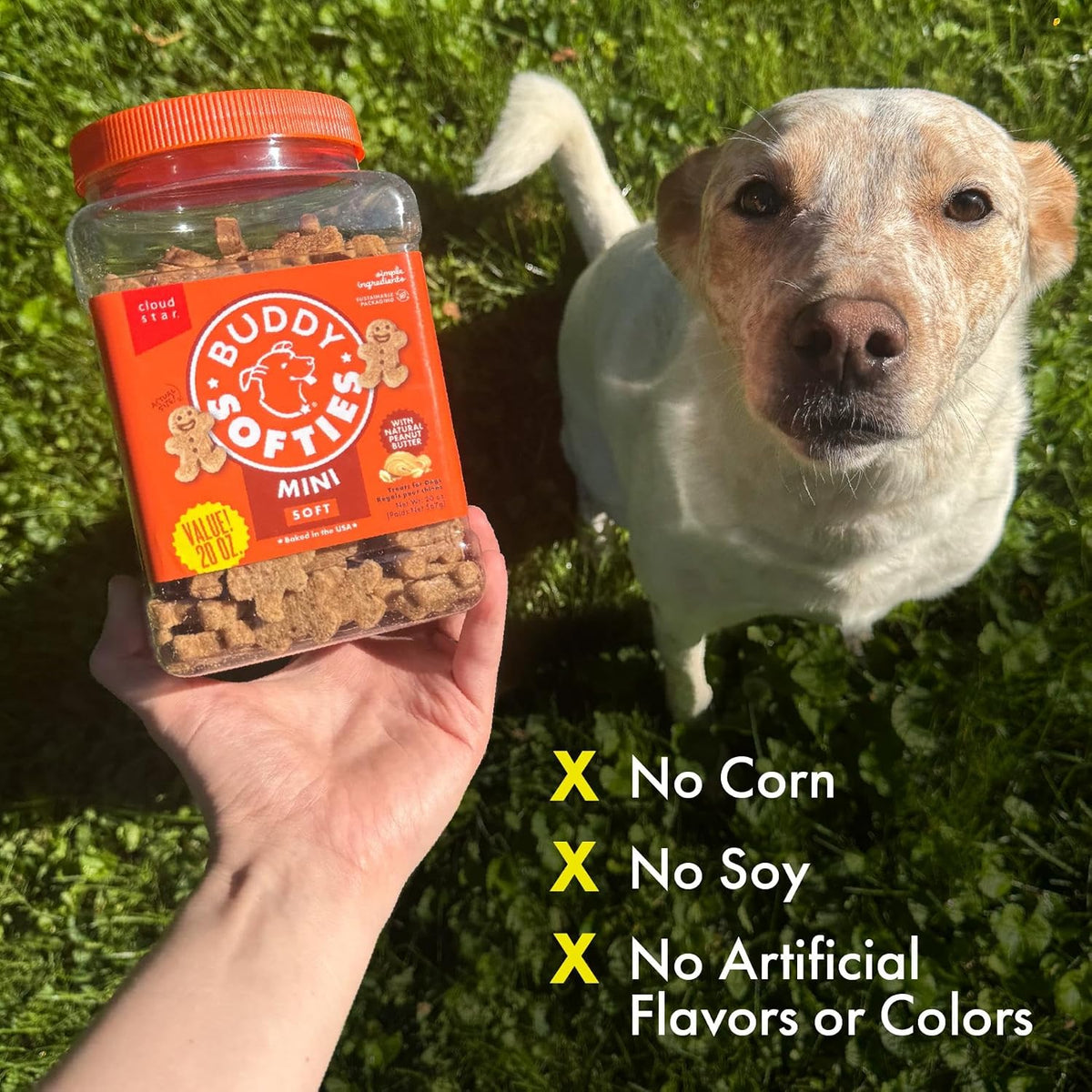 Buddy Biscuits Mini Soft & Chewy Dog Treats, Peanut Butter, 20 oz Jar