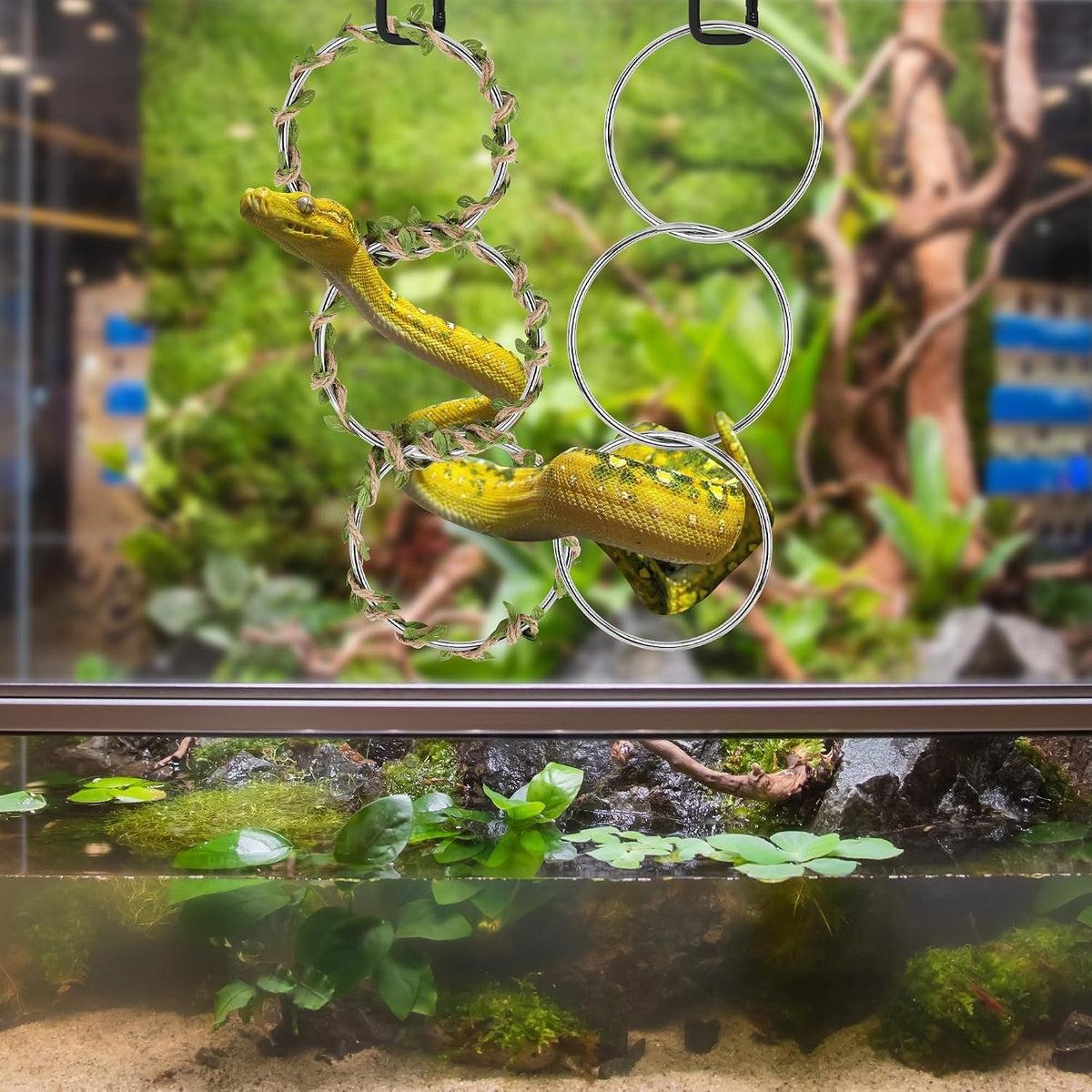 Snake Climbing Rings for Ball Python-Enrichment Snake Enclosure Accessories