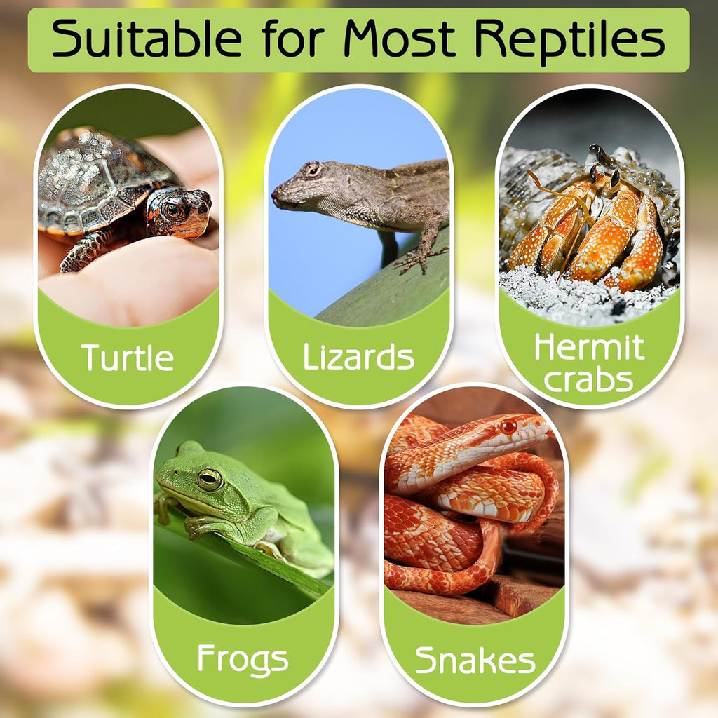 kathson Tortoise Water Dish with Ramp and Basking Platform, Reptile Water Bowl Turtle Soaking Tub Hermit Crab Bathing Pool for Amphibians Habitat Accessories (White)