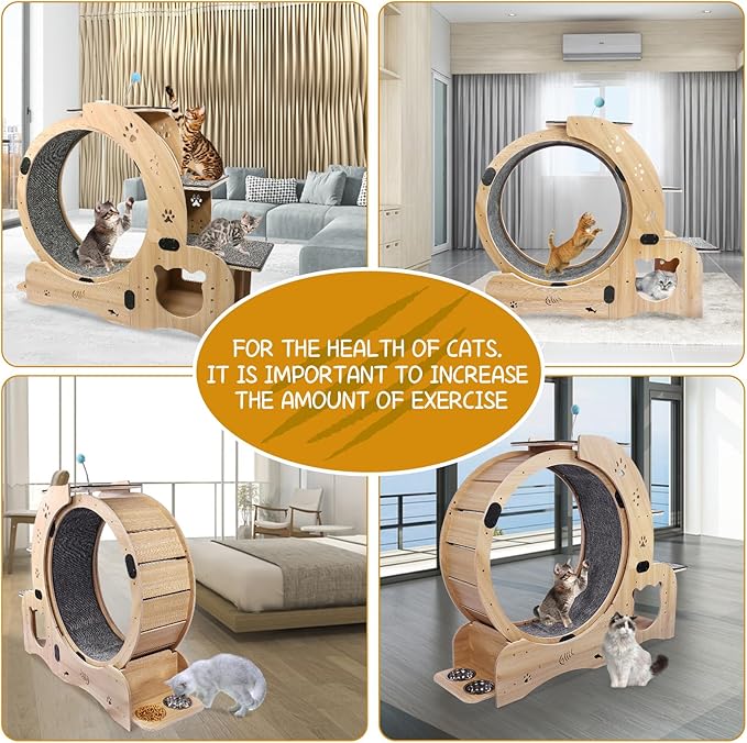 Cat Running Wheel, Cat Treadmill - Image 6