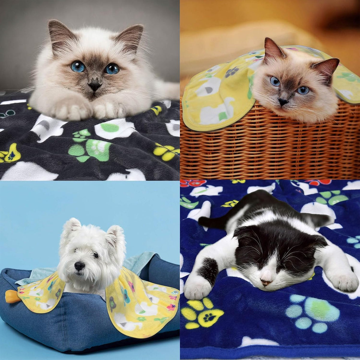 Rezutan Dog Blanket for Medium Dogs 3 Pack Premium Soft Puppy & Cat