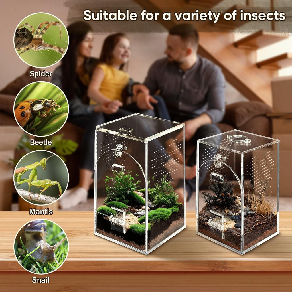 Set of 2 Jumping Spider Enclosure, No Assembly Required