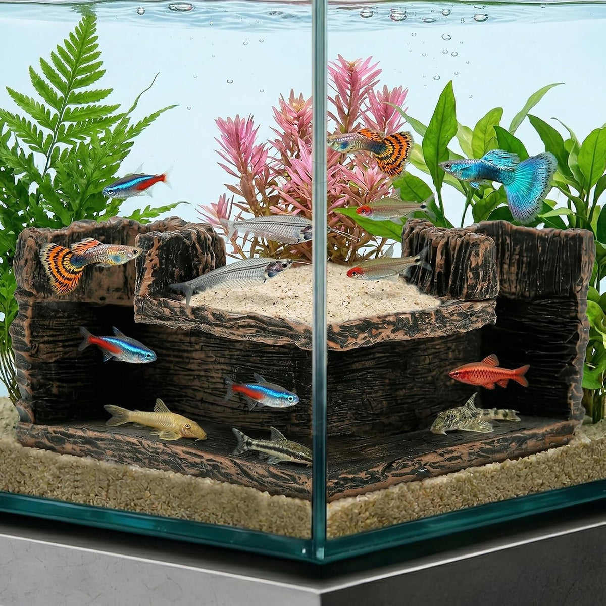 Aquarium Cave, 90° Corner Fish Cave Hideout for Fish Tank, Dual-Hole Viewing Tunnel for Shrimp Betta Corydoras, Safe Resin Fish Tank Decor Accessories
