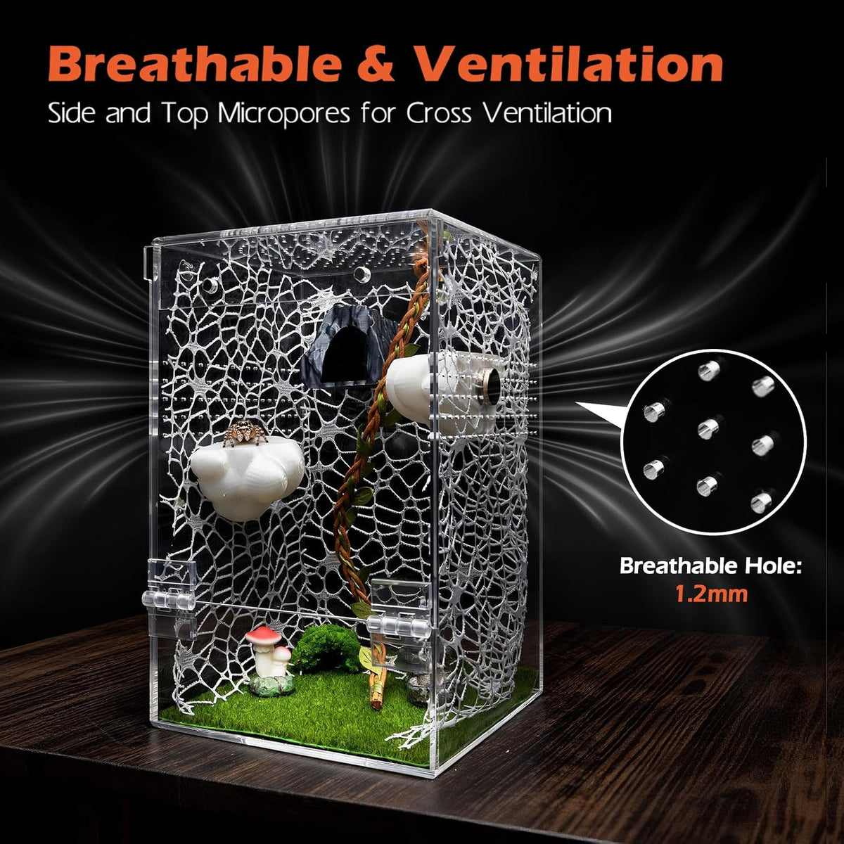 AZV Jumping Spider Enclosure Kit,Pre-Assembled 5 x 5 x 8 in Acrylic Habitat