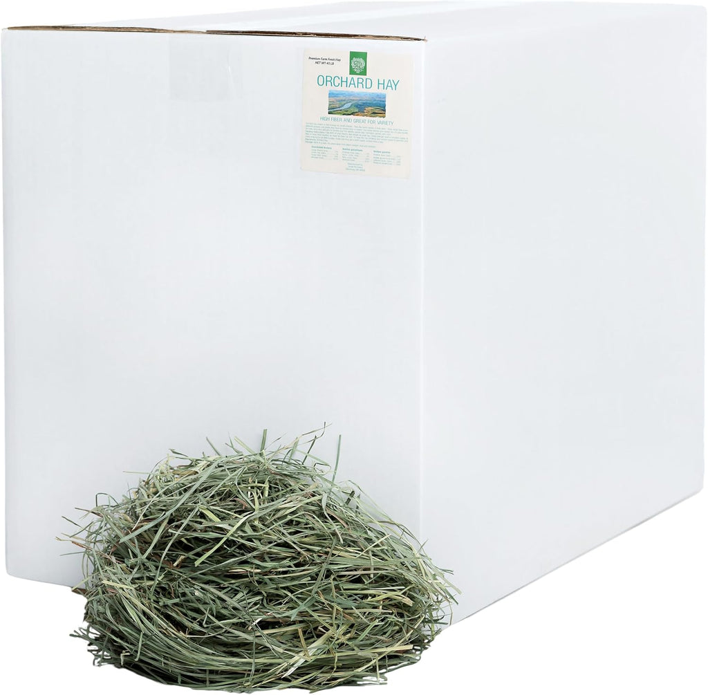 Small Pet Select Orchard Grass Hay Pet Food for Rabbits, Guinea Pigs, Chinchillas and Other Small Animals, Premium Natural Hay Grown in the US, 5 LB