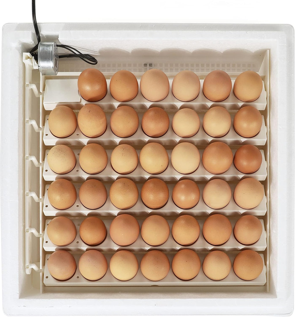 Farm Innovators 3200 Automatic Egg Turner for Incubators, 41 Eggs