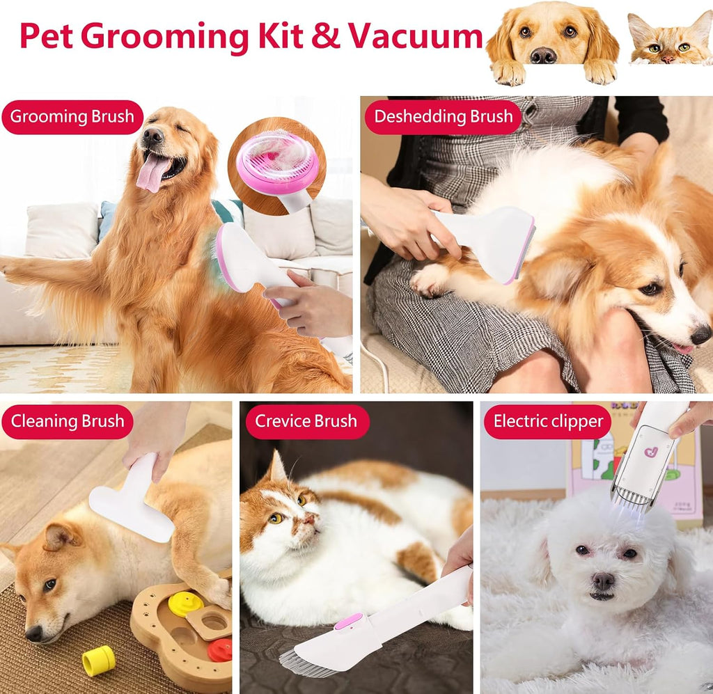 Garvee Pet Grooming Vacuum, 13.4Kpa Suction Power, 2L Large Capacity Hair Storage, 5 Professional Pet Grooming Tools for Dogs Cats, Orange/Pink