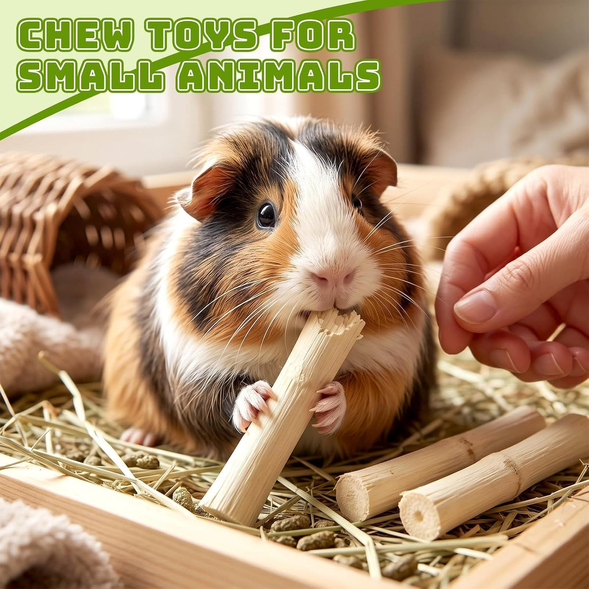 2.5 LB Sweet Bamboo Sticks Bulk Pack for Rabbits Small Animals