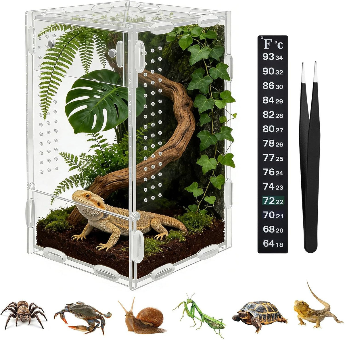 Jumping Spider Enclosure, Acrylic Terrarium for Small Reptiles, 4x4x8 Inch