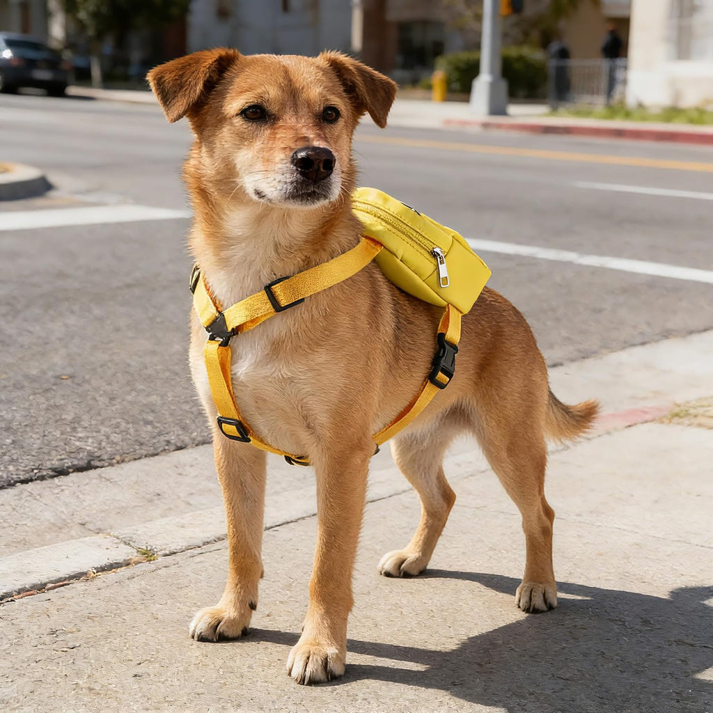 Nervous Dog Backpack Friendly But Nervous Pet Travel Bag for Dogs Social Distancing Gift (Friendly But Nervous)