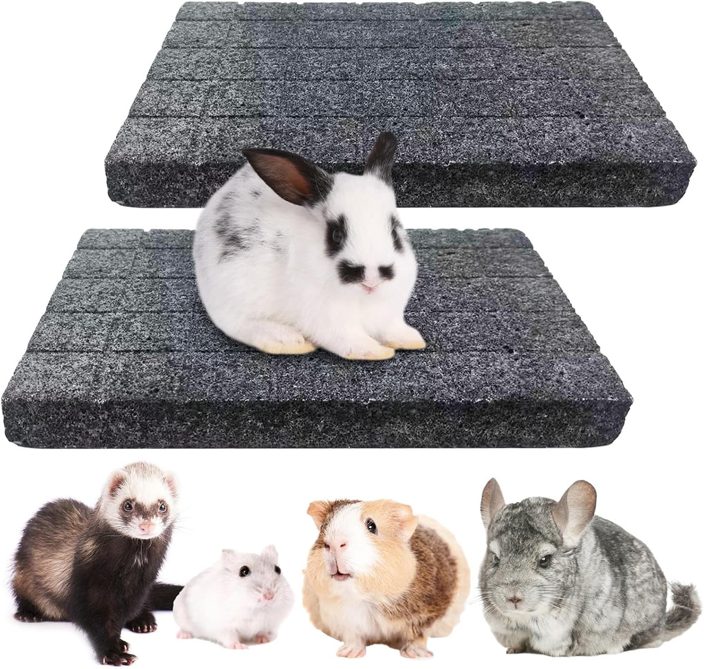 BNOSDM Chinchilla Scratch Foot Pads Natural Hamster Grinding Claw Mats 2Pcs
