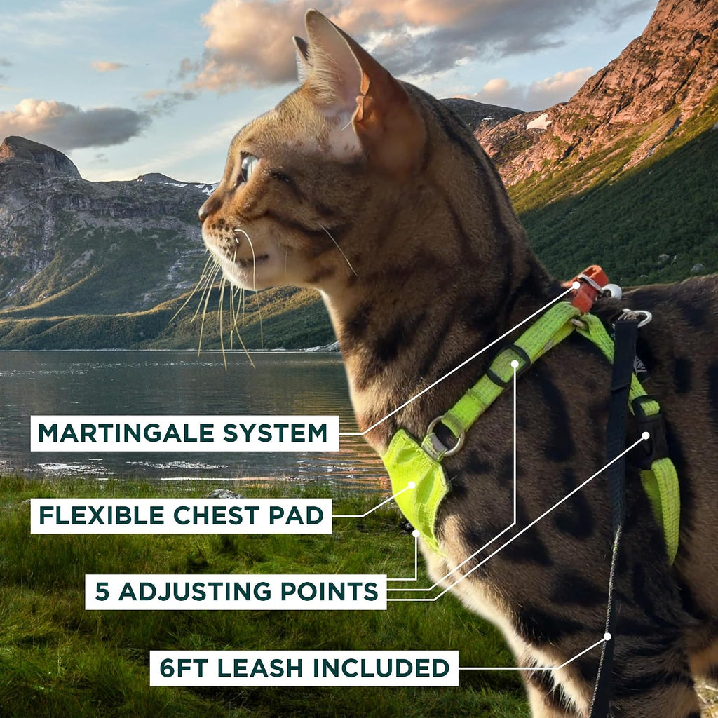 Always On™ Martingale Cat Harness (Neon Reflective, M/L)