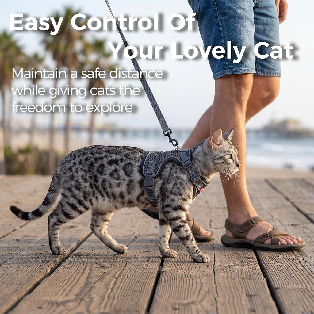 Cat Harness and Leash Set, Lightweight Air-Mesh Cat Vest, Grey, M