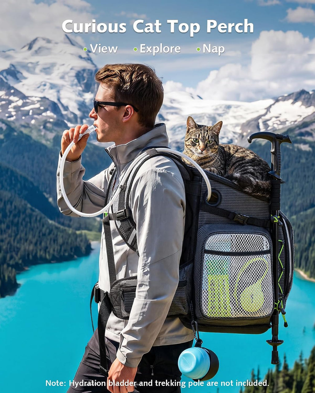 Pecute Cat Backpack Carrier, Stable Cat Hiking Backpack, Ergonomic, Gray
