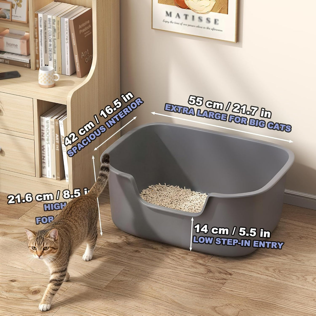 Large Open Cat Litter Box with High Sides, Anti-Splashing for Indoor Cats, Low Entry for Kittens & Elderly Cats, Spacious Litter Pan, Tool-Free Assembly(21.7” * 16.5” * 8.5” Grey)