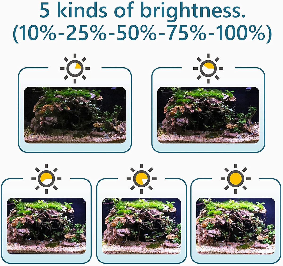 hygger Clip On 24/7 Lighting Aquarium LED Light,Sunrise-Daylight-Moonlight and DIY Mode, Adjustable Timer/Brightness Fish Tank Light with 7 Colors for Planted Tank (14W for 12~20in Tank)