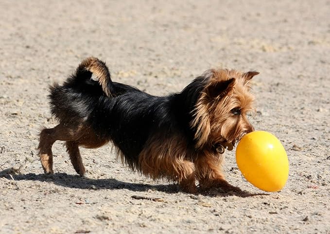 Jolly Pets Jolly Egg Dog Toy, 8 Inches/Medium - Image 2