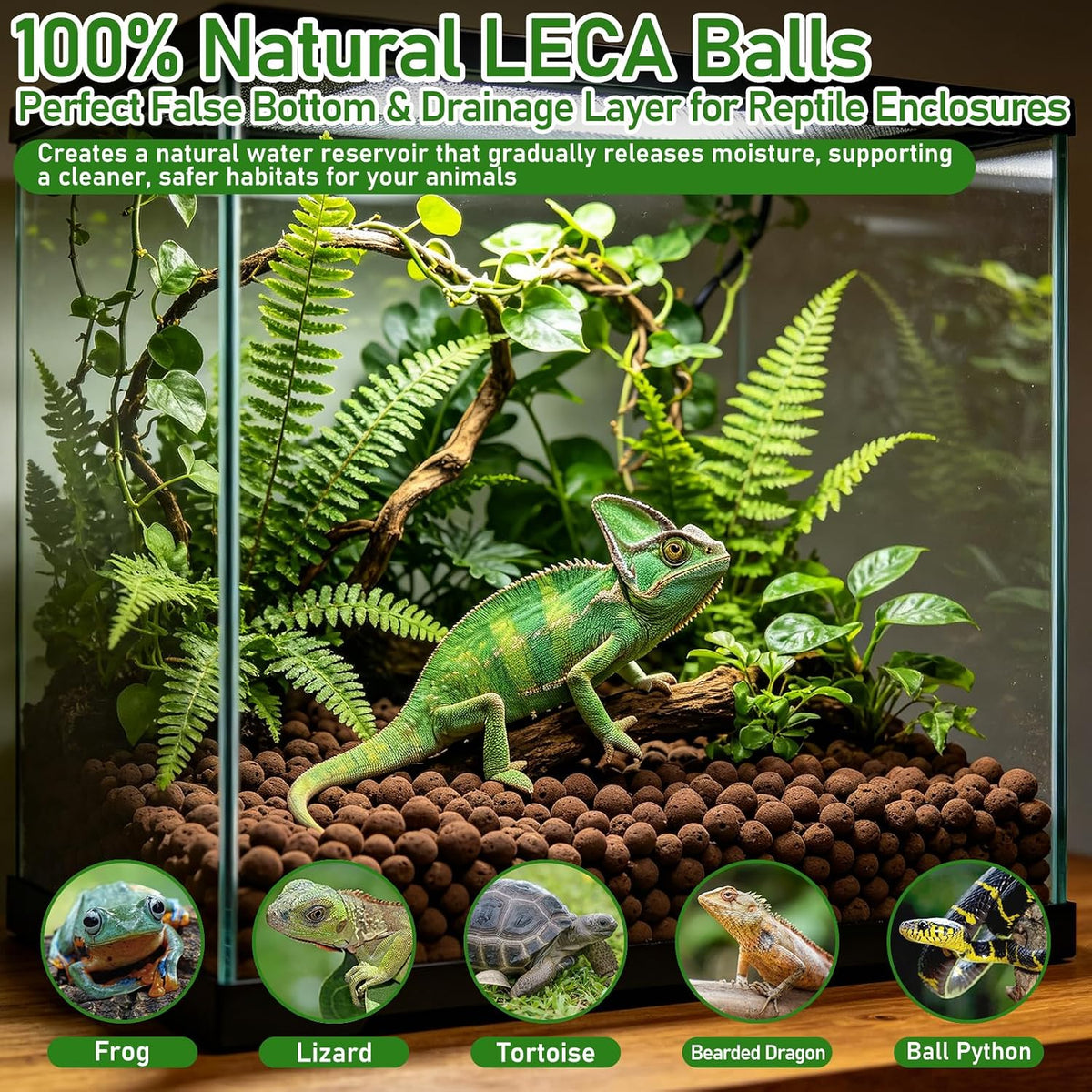 Riare 10LBS Organic Expanded Clay Balls Terrarium Substrate for Reptiles