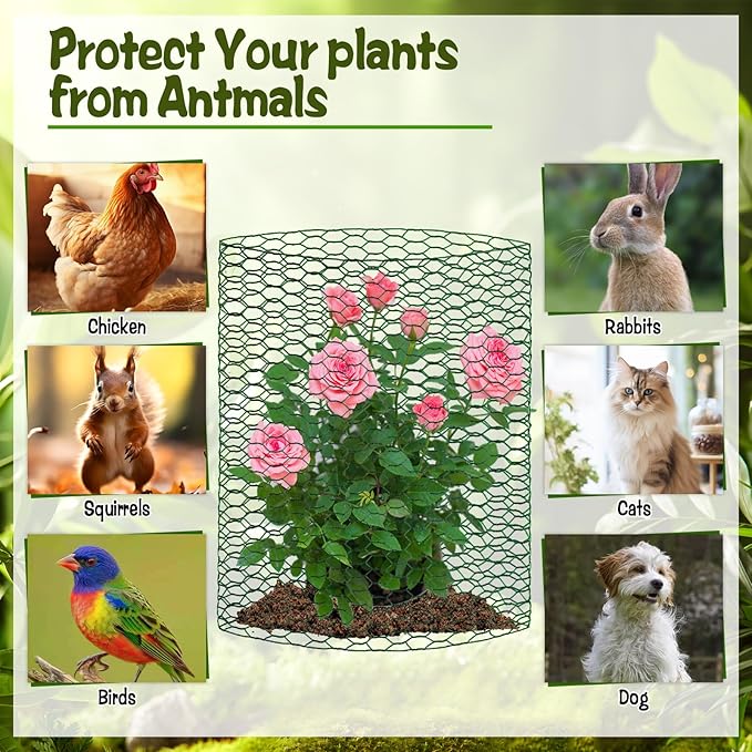 CIEOVO 32.8ft × 15.74 inches Wire Plant Protector from Animals, Metal Mesh - Image 3