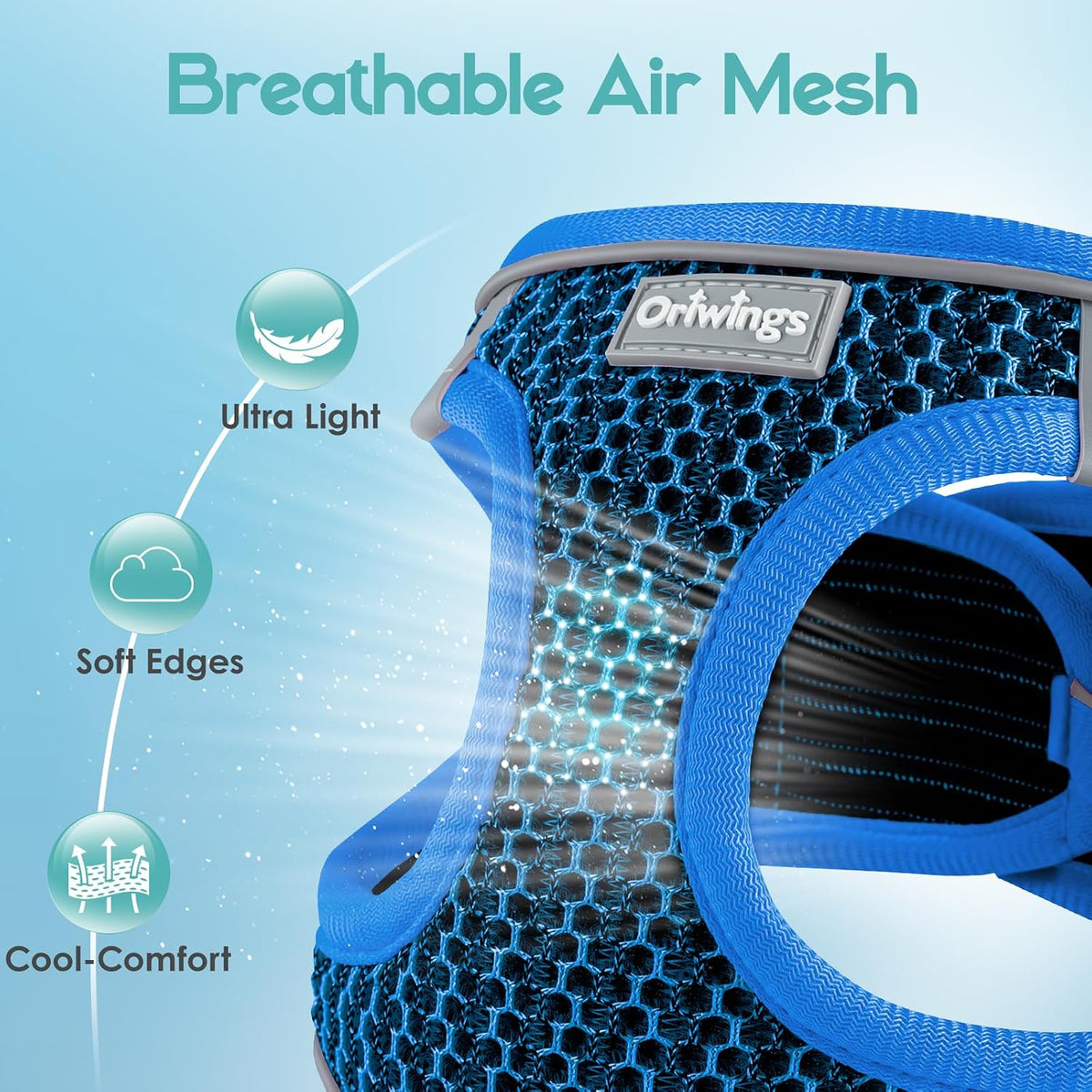 Cat Harness and Leash Set, Step-in Soft Vest, Blue, M