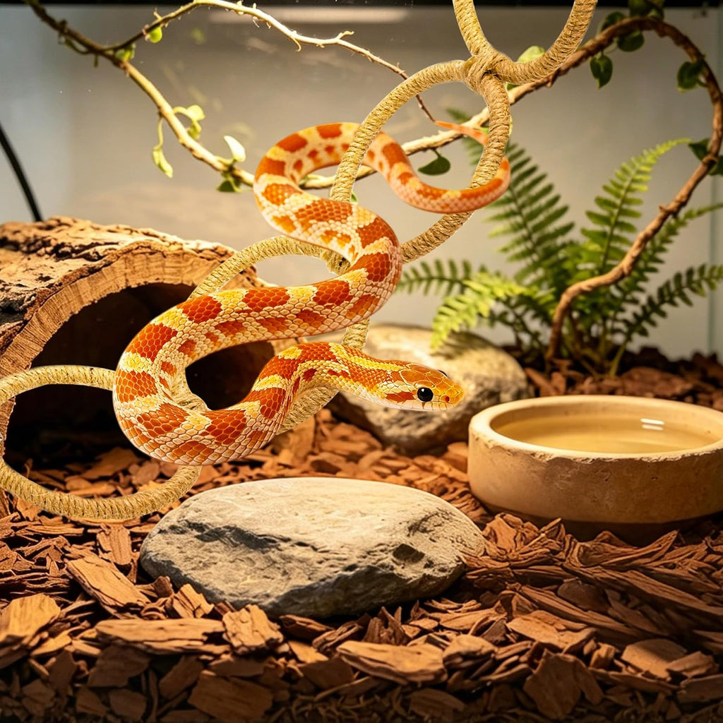 Reptile Climbing Rings 2-Pack, Suction Cup Mounted Tank Decor for Snakes, Bearded Dragons, and Lizards, Habitat Enrichment Accessory