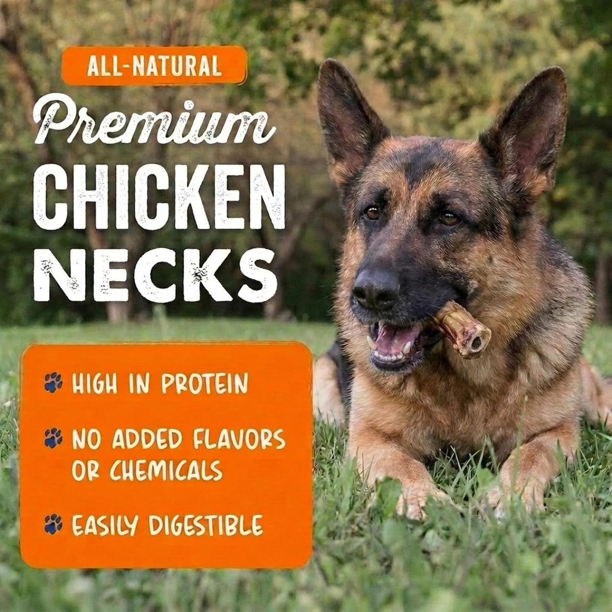 K9warehouse Chicken Necks for Dogs, Single Ingredient Dental Chew, 12 Count