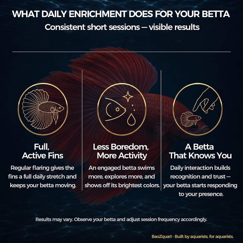Betta Exercise Kit, Betta Fish Toys, 2 Training Wands and Mirror