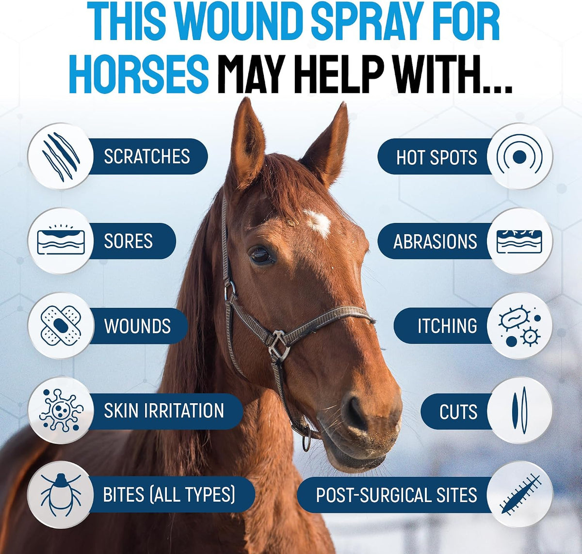 Horse Wound Care Spray with Silver – for Insect & Fly Bites, Hot Spots, Scratches & Itchy Skin – Supports Quick Healing of Cuts, Abrasions & Rain Rot Treatment for Horses – Equine Healing Aid – 4 Oz